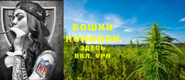 гидра Алексеевка