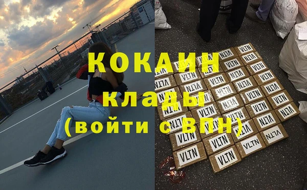 гидра Алексеевка