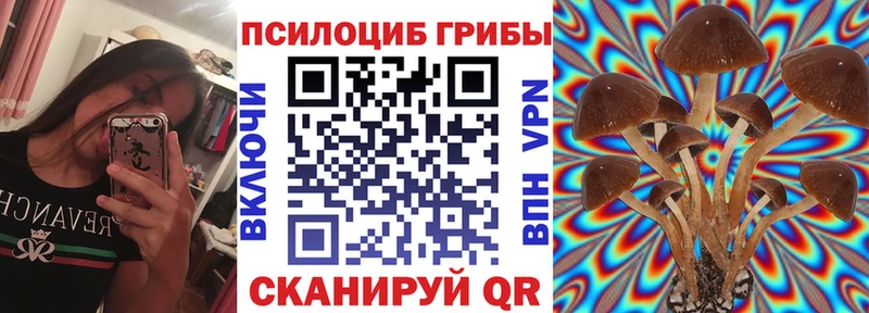 Псилоцибиновые грибы мицелий  Закаменск 